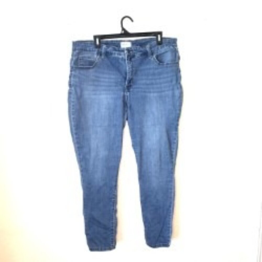 Crown & Ivy 18WR Mid-Wash Skinny Jeans | Wear Your Crown